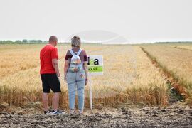 Българово - "Ден на полето" - фестивал за земеделие