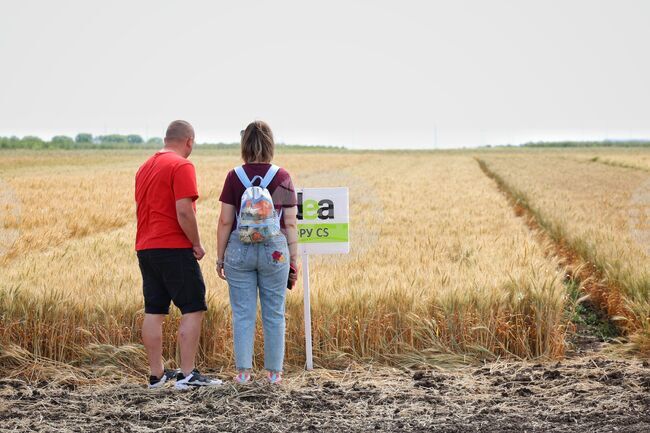 Българово - "Ден на полето" - фестивал за земеделие