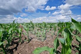 Българово - "Ден на полето" - фестивал за земеделие