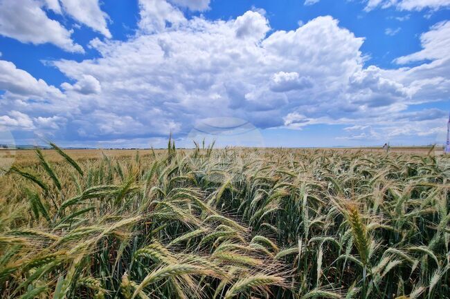 Земеделските стопани получиха последната сума от допълнителното преразпределително подпомагане за Кампания 2024
