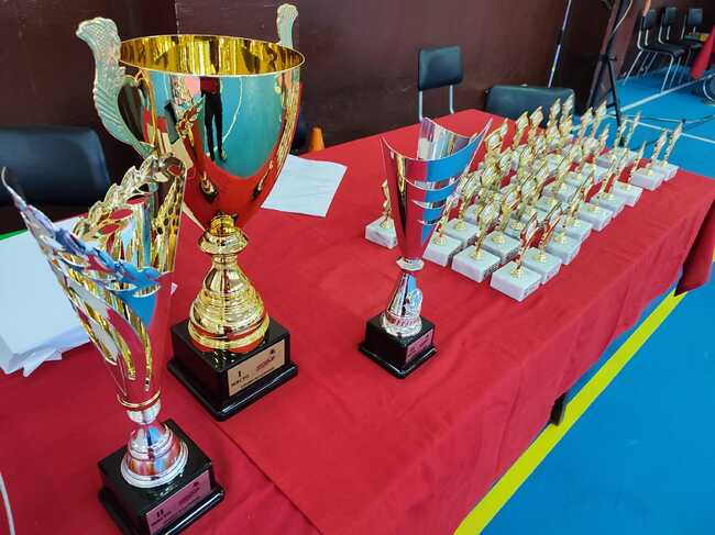 Близо 200 състезатели участват в Петия национален детски турнир по таекуон - до за купа „Плевен“