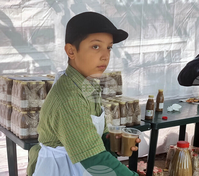 Радомир - празник на бозата