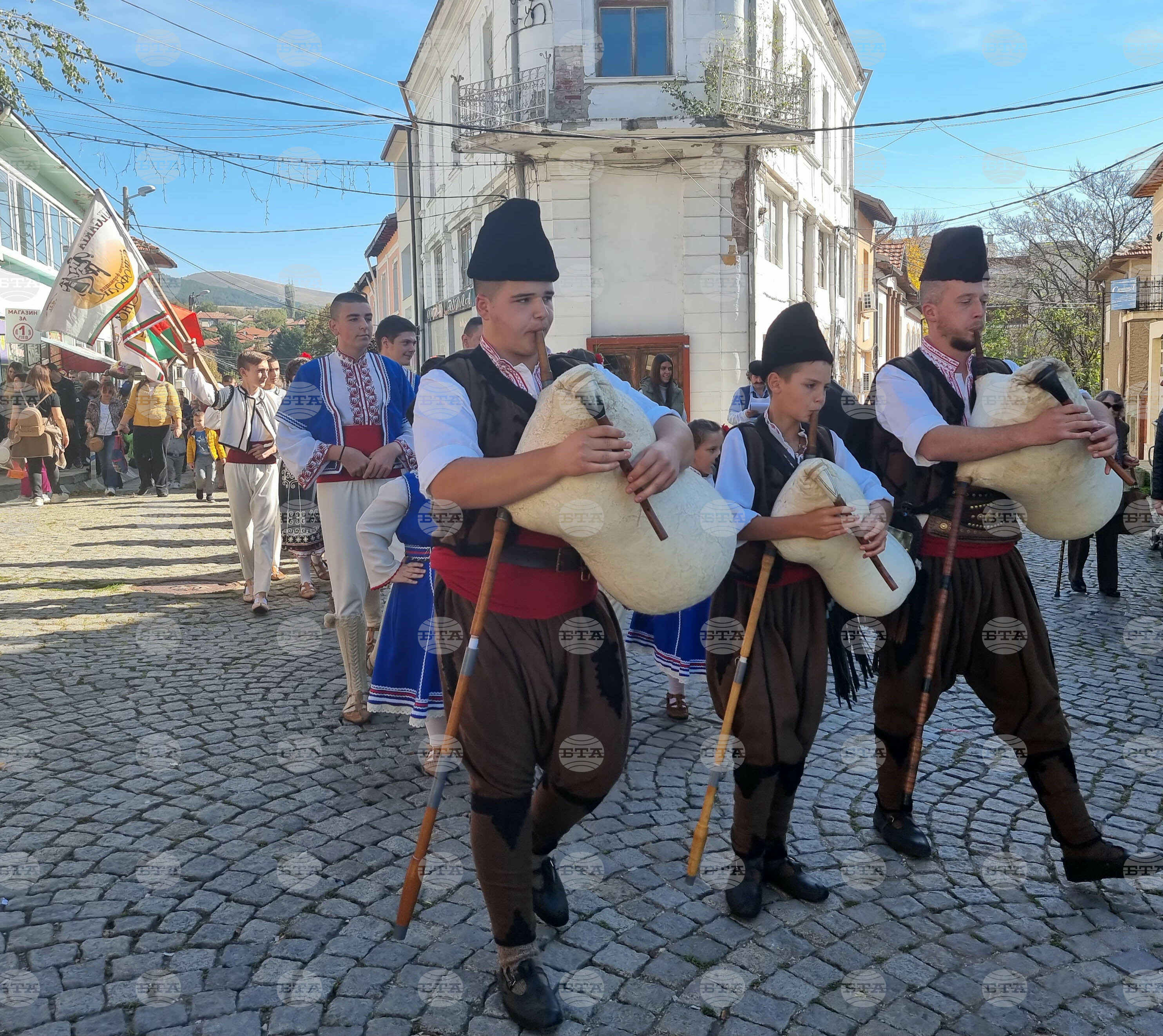 Радомир - празник на бозата