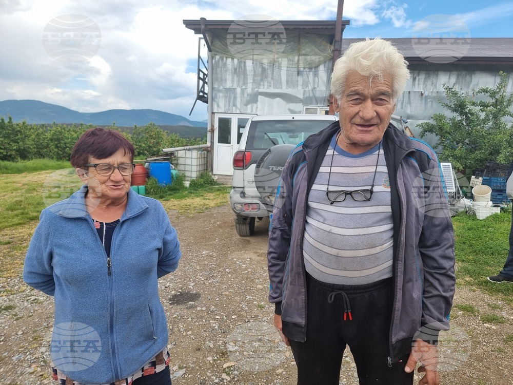 Дупница - Кирил Димитров - череши