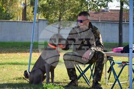 Благоевград - Международна киноложка изложба