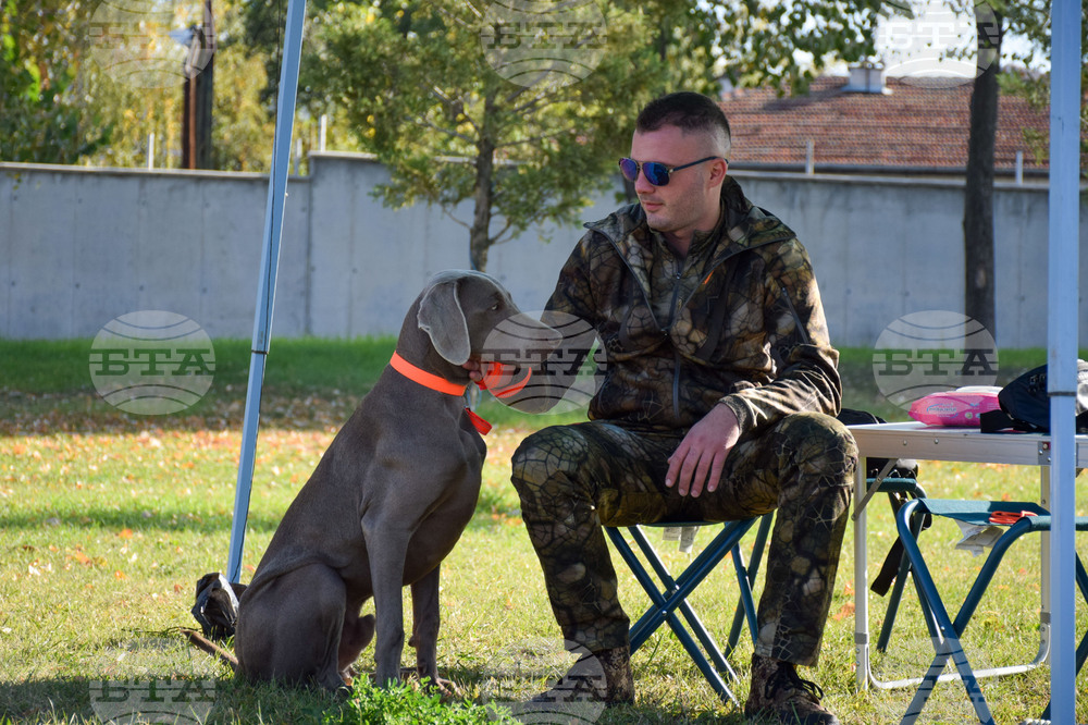 Благоевград - Международна киноложка изложба
