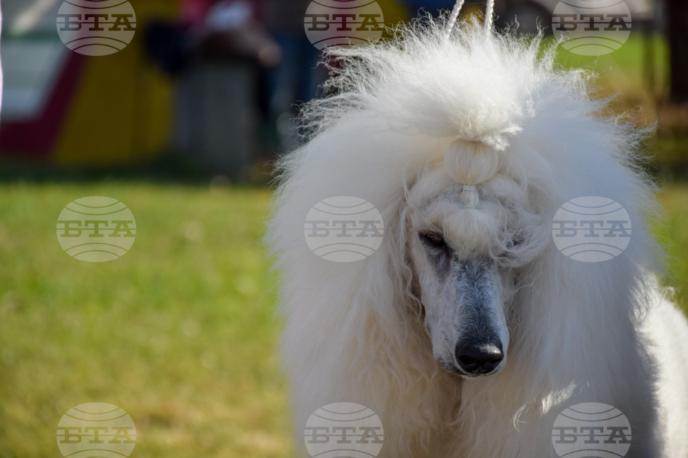 The Weather on May 17-18