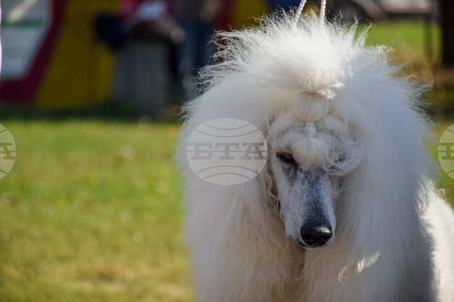 The Weather on May 17-18