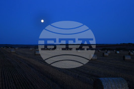 Завет  - пълнолуние