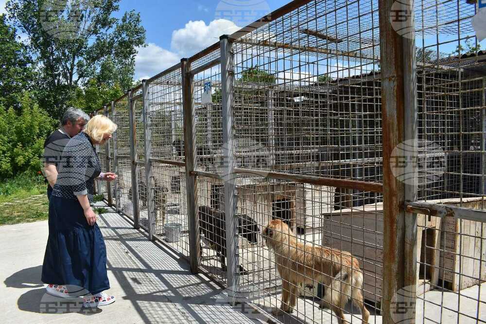 Акция „Осинови приятел“ ще се състои на 1 юни в Градския парк в Разград