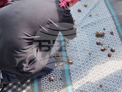 Снимка: СИДП Шумен