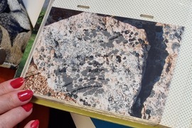 Румъния - Флорика Топърчяну - първата жена биолог, изследвала Антарктида