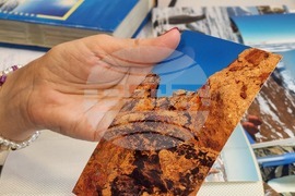 Румъния - Флорика Топърчяну - първата жена биолог, изследвала Антарктида