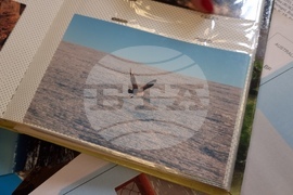 Румъния - Флорика Топърчяну - първата жена биолог, изследвала Антарктида