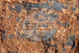 Румъния - Флорика Топърчяну - първата жена биолог, изследвала Антарктида