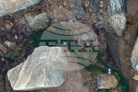 Румъния - Флорика Топърчяну - първата жена биолог, изследвала Антарктида