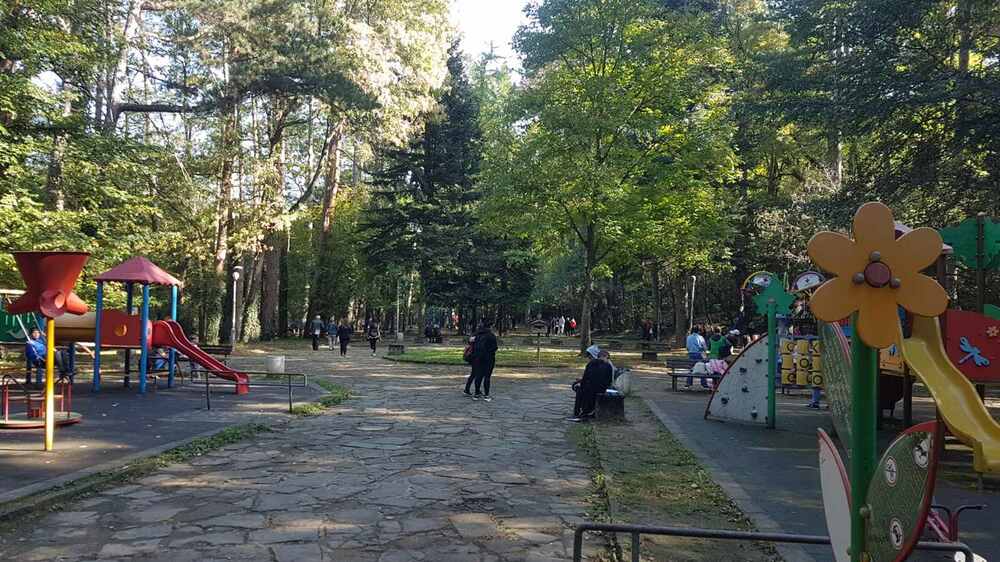 Световен ден на ходенето се проведе в Ловеч на 8 октомври