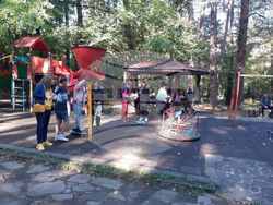 Снимка: Община Ловеч - Световен ден на ходенето се проведе в Ловеч на 8 октомври