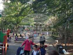 Снимка: Община Ловеч - Световен ден на ходенето се проведе в Ловеч на 8 октомври