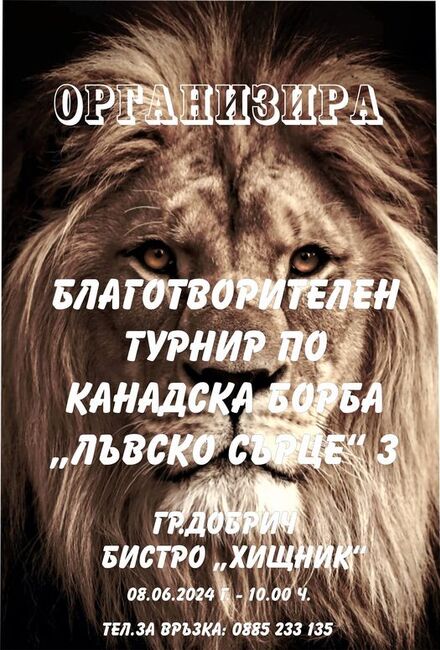 Община Добрич: Благотворителен турнир „Лъвско сърце“ 3 ще се състои в Добрич