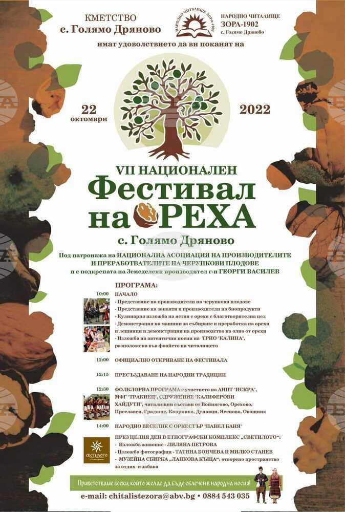 Седмото издание на Националния фестивал на ореха ще се състои в казанлъшкото село Голямо Дряново