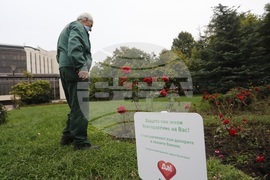 Донорство - рози