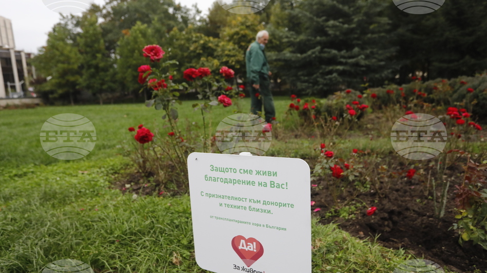 Донорство - рози