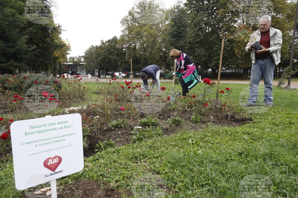 Донорство - рози