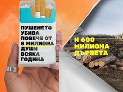 Снимка: РЗИ – Смолян