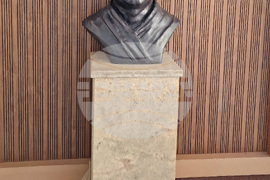 Индия - Централата на управляващата индийска партия "Бхаратия Джаната"