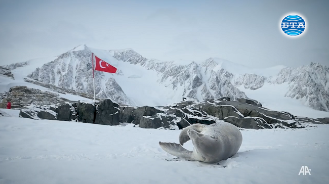 Проф. Ерсан Башар пред БТА: Сътрудничеството на Антарктида е изключително важно и много необходимо