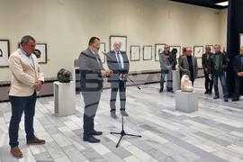 Пазарджик - проф. Величко Минеков - изложба