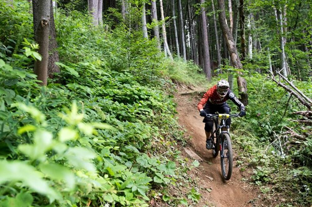 Vitosha Selected to Host 2026 Mountain Bike Downhill European Championship