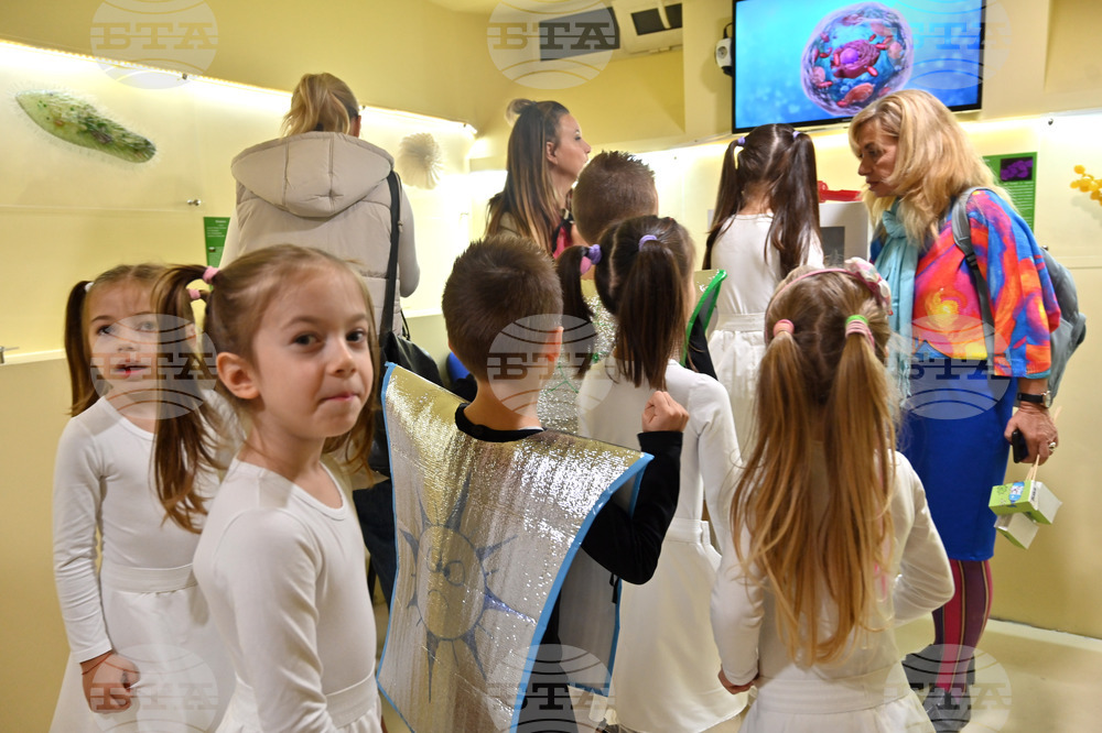 Пловдив-Регионален природонаучен музей - зала "Микросвят"  Снимка: Боян Ботев