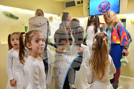 Пловдив - Регионален природонаучен музей - зала „Микросвят"