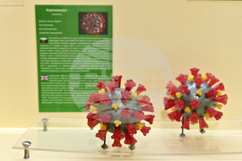 Пловдив - Регионален природонаучен музей - зала „Микросвят"