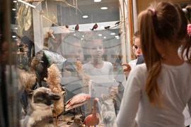 Пловдив - Регионален природонаучен музей - зала „Микросвят"