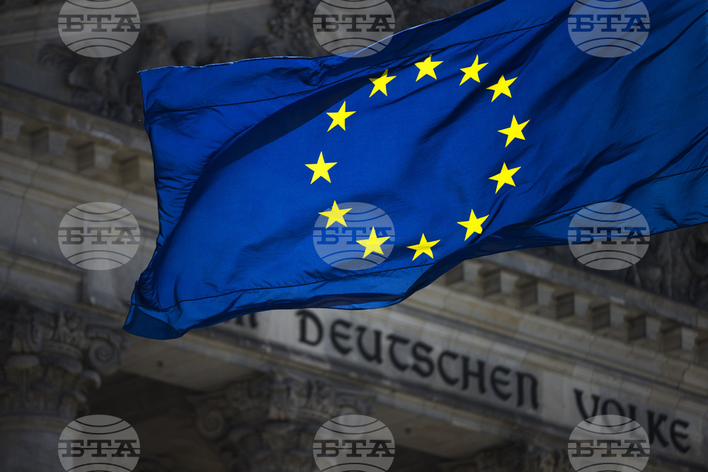 Берлин използва набралия масова популярност мем "пингвинът нихилист", за да насърчи европейската солидарност