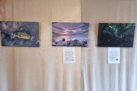 Кърджали - фотоизложба - представяне