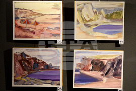 Варна - Дарина Янева - живопис - изложба