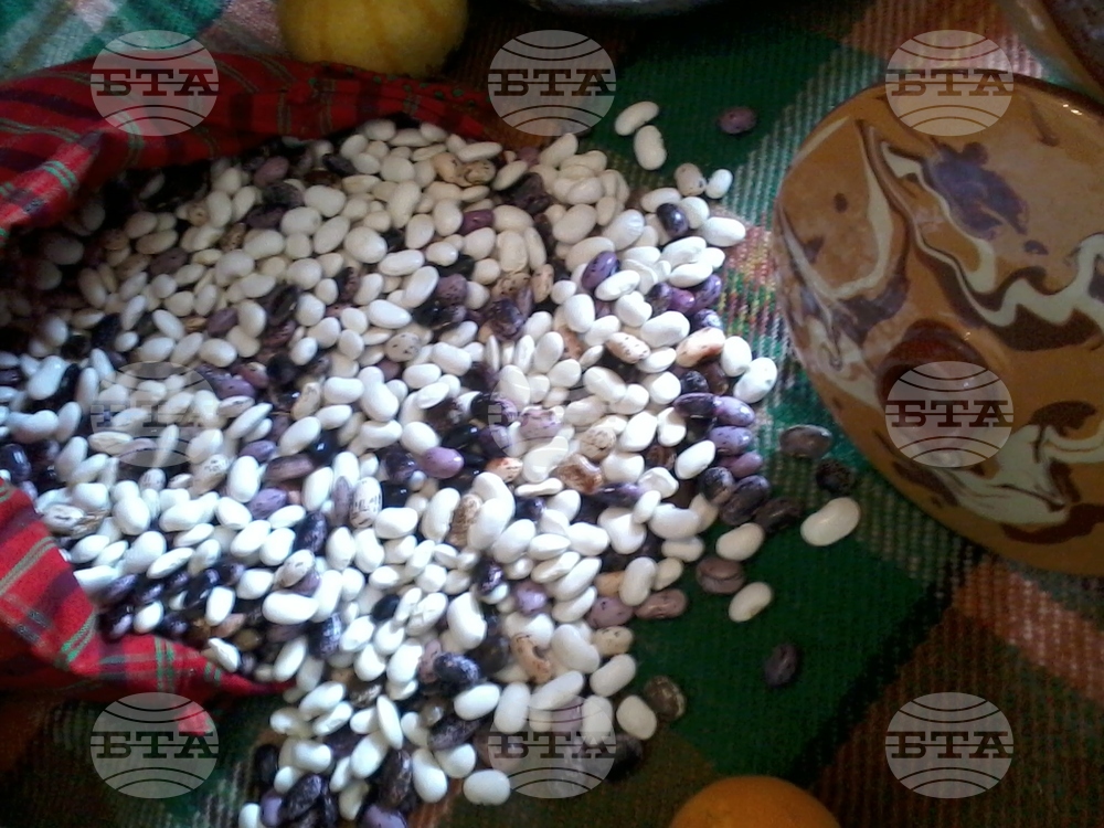 Близо 200 кг смилянски боб дариха производители за трапезата на Празника на фасула