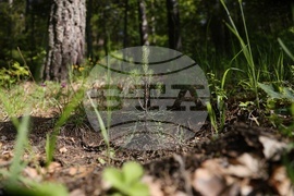 Село Железница - „Горска класна стая“ - кампания