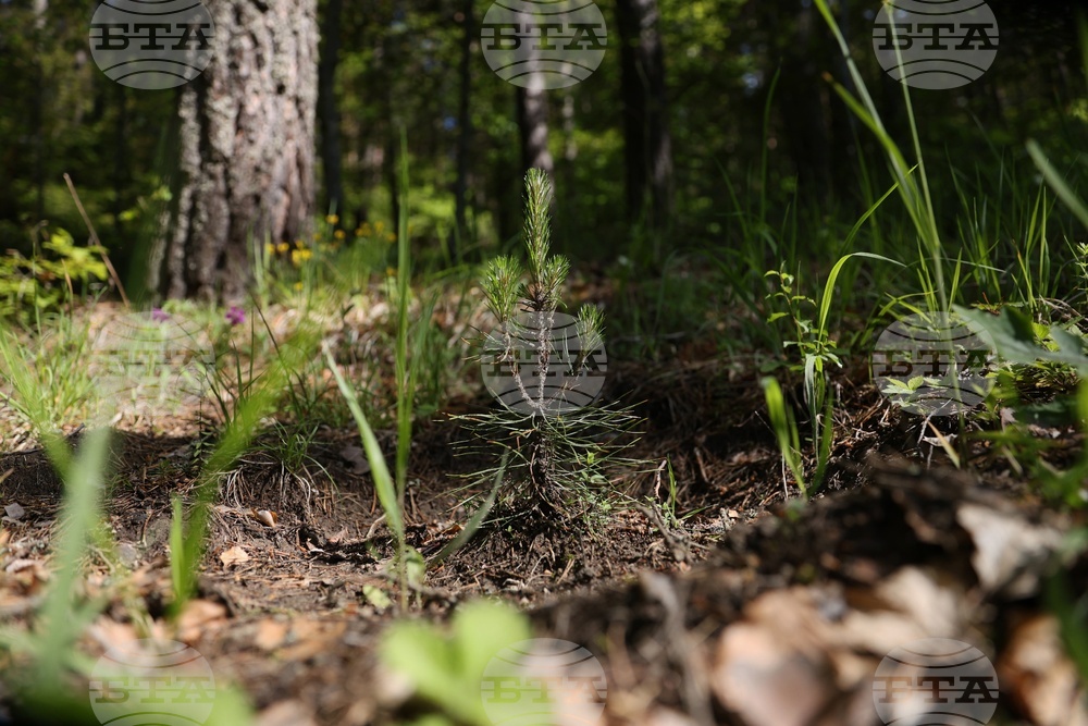 Село Железница - „Горска класна стая“ - кампания