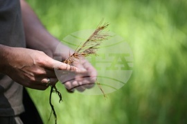 Село Железница - „Горска класна стая“ - кампания