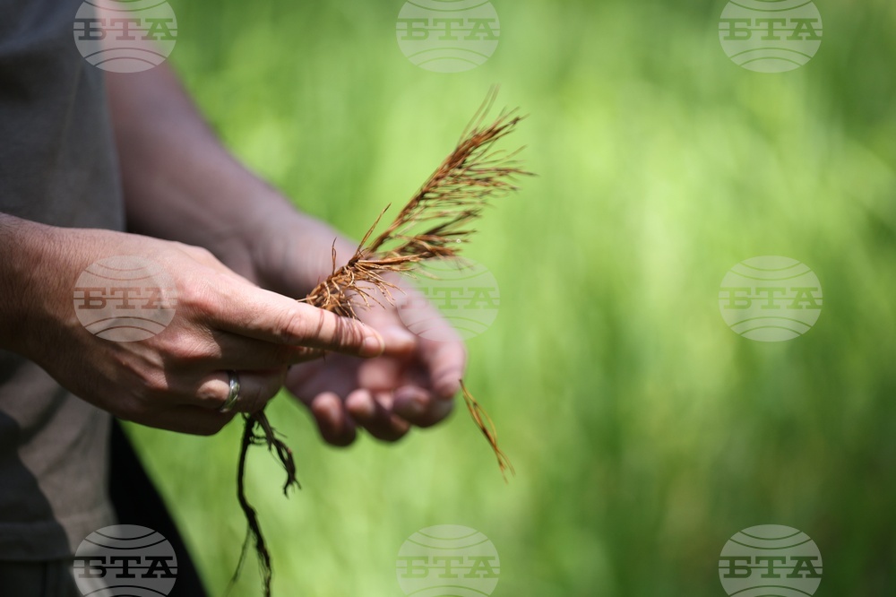 Село Железница - „Горска класна стая“ - кампания