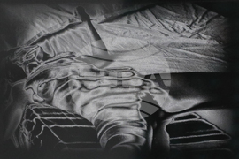 Русе - изложба