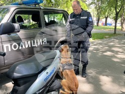 Снимка: Община Стара Загора