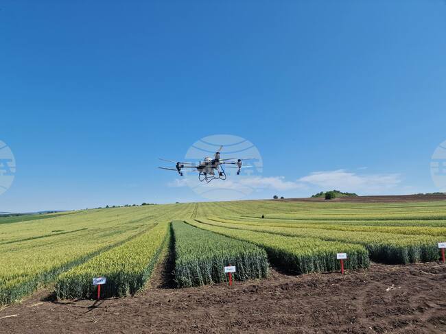 Третото издание на Академия "Иновации в агробизнеса" ще се проведе от 18 до 20 март в София