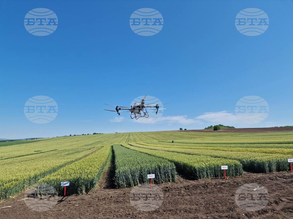 Лозница - Ден на пшеницата - зърнопроизводител - демонстрация