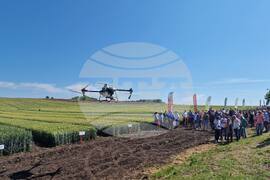 Лозница - Ден на пшеницата - зърнопроизводител - демонстрация